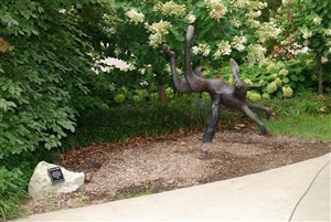 Running Rabbit