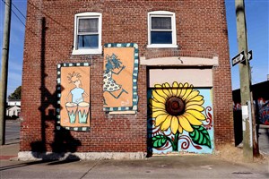 Unknown (Sunflower Mural)