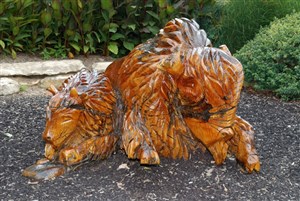 Buffalo and Calf, Woody and Toothpick
