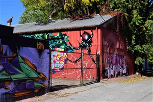 Unknown (Spider Mural)