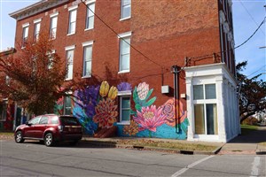 Untitled (Portland Flowers Mural)
