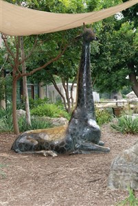 Lucy the Giraffe
