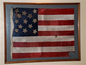 Constitution Flag