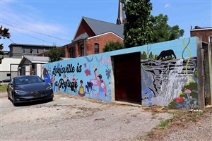 Louisville is a Refuge