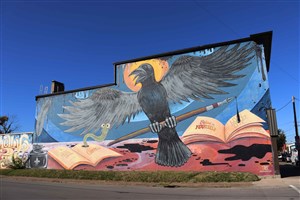 Louisville Crow