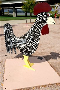 Rooster #5