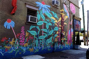 Nulu Wildflower